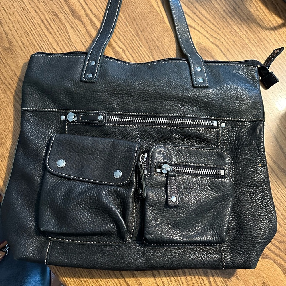 Pristine Fossil Bag